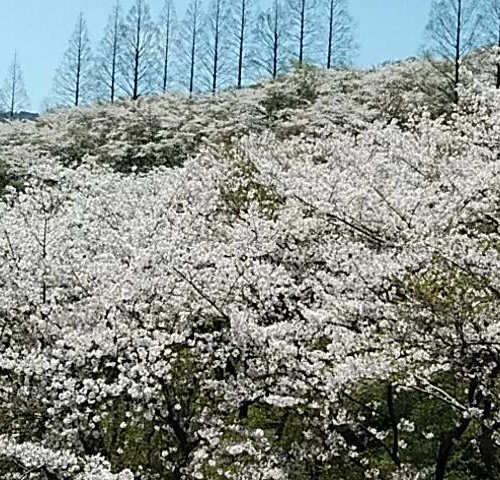 staff_2004220504