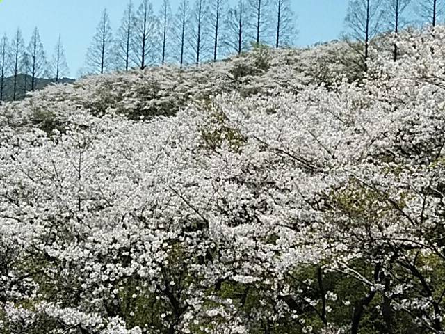 staff_2004220504