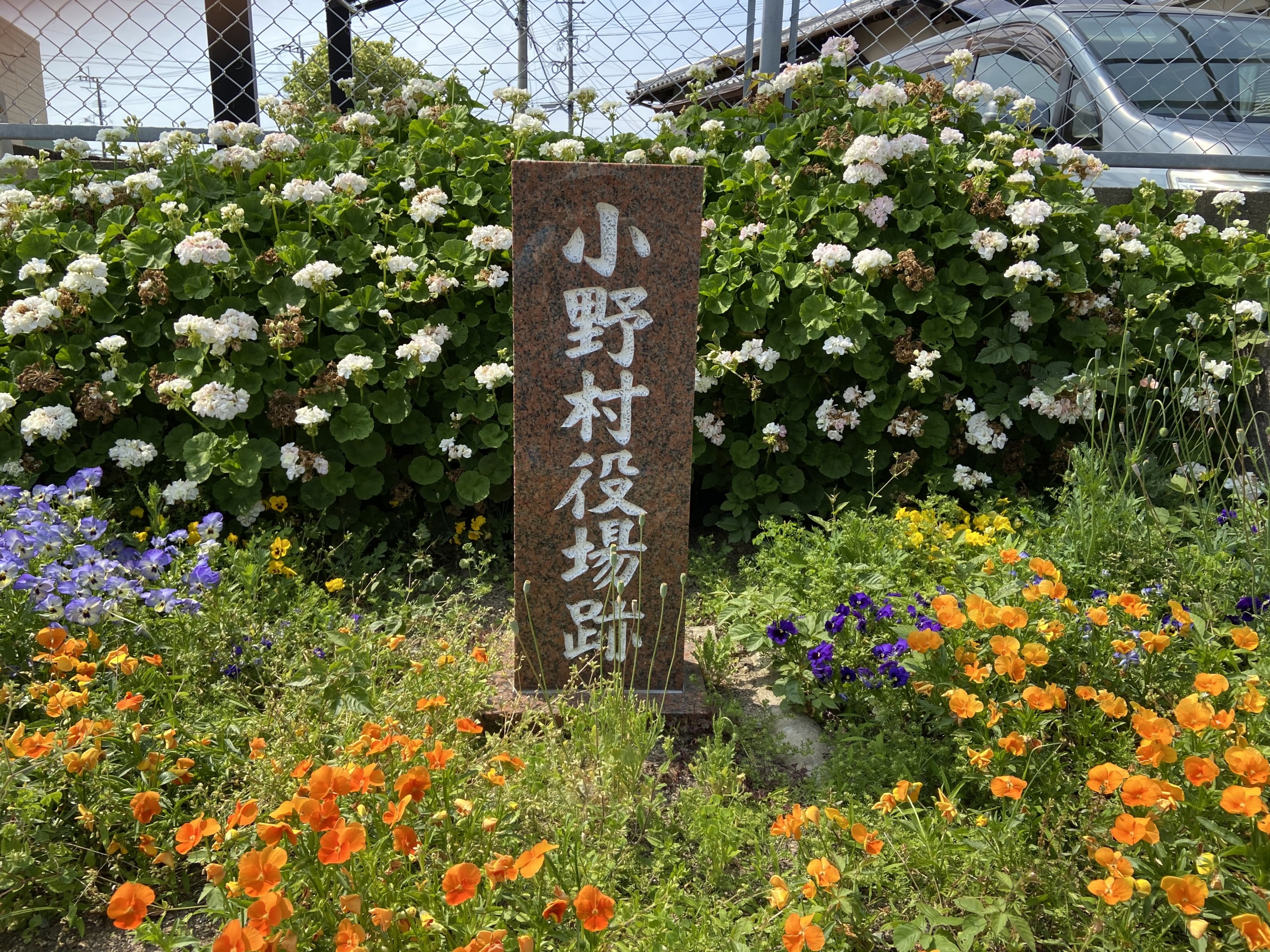 staff_photo