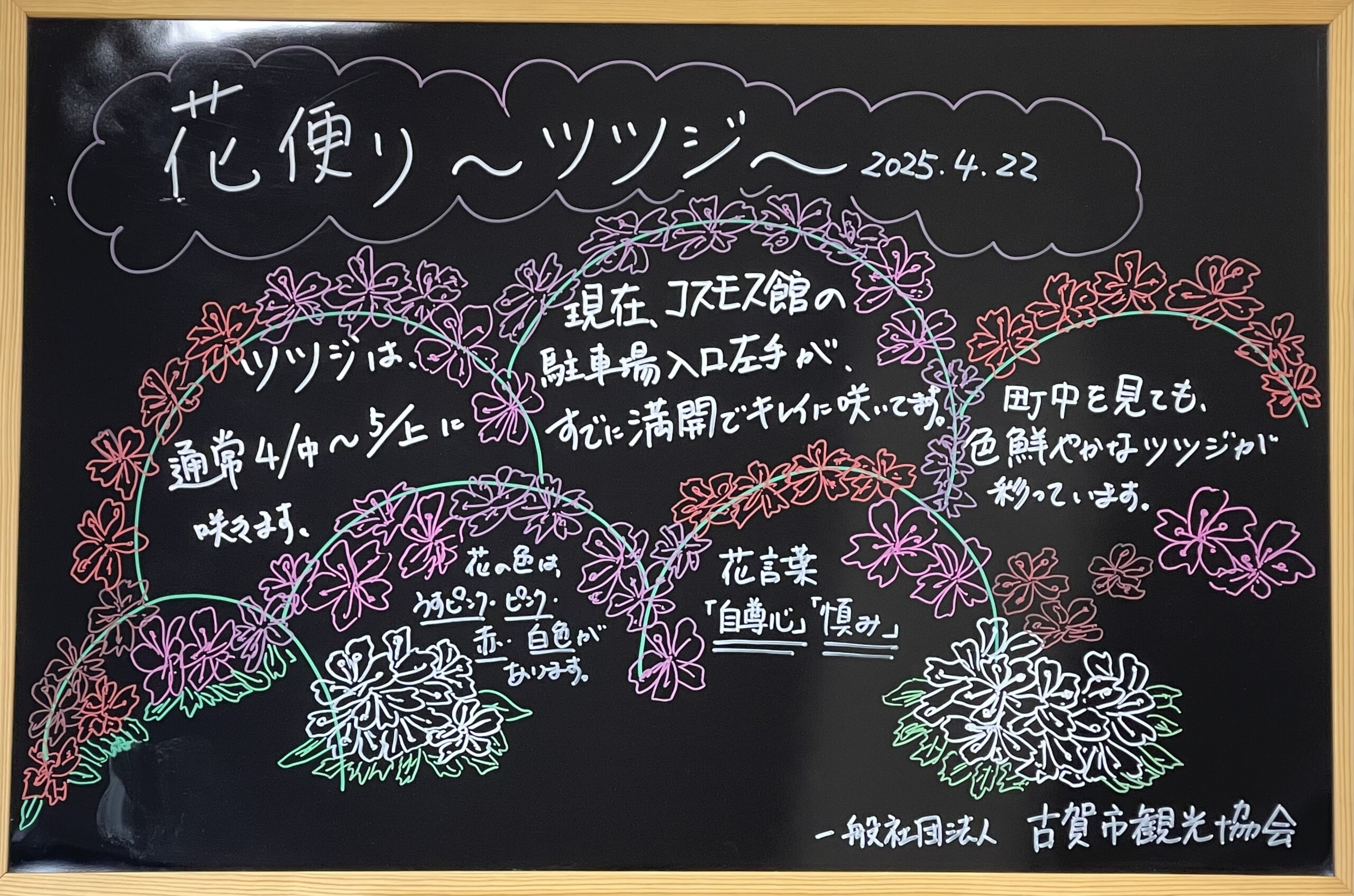 staff_photo