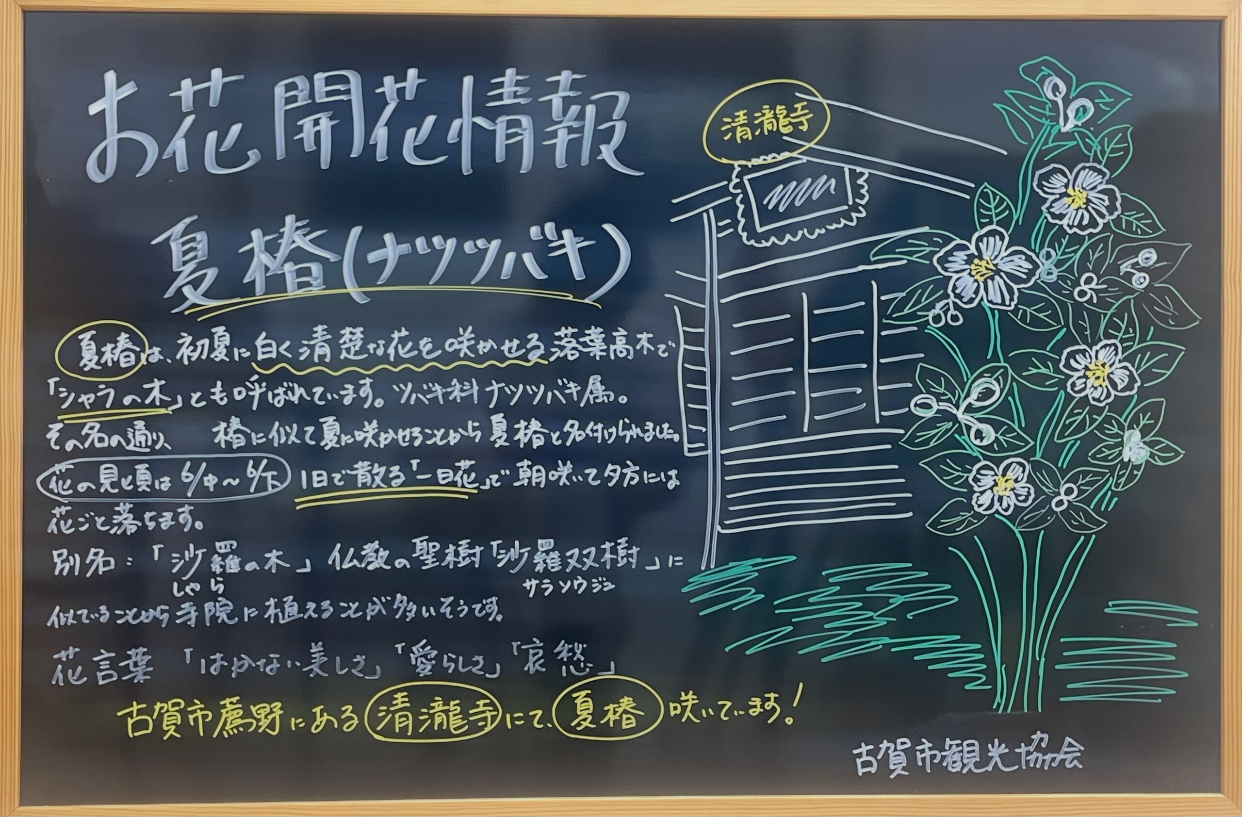 staff_photo