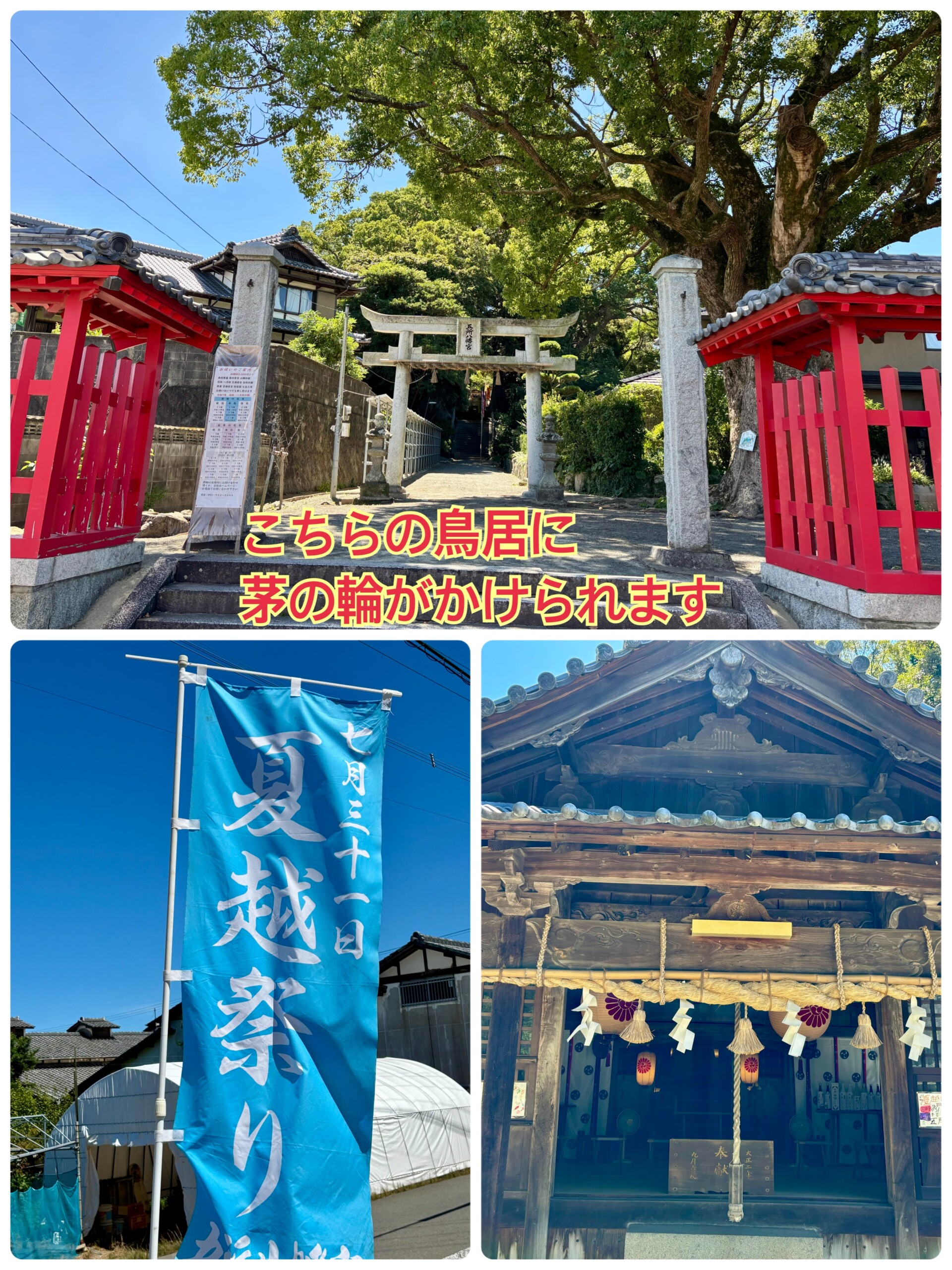 staff_photo